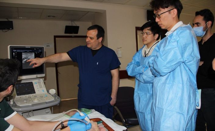 Kütahya Evliya Çelebi Eğitim ve Araştırma Hastanesi doktorlarından uluslararası eğitim