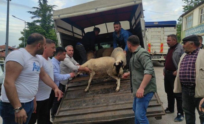 Mahalle muhtarı Cumhurbaşkanı Erdoğan için 7 küçükbaş hayvan kestirdi