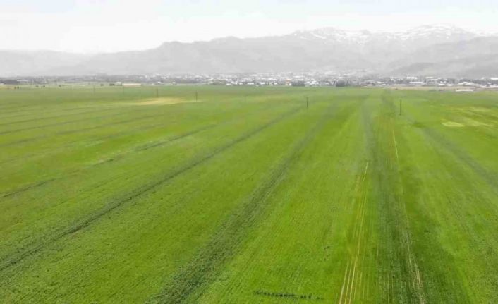 Muş, 1,8 milyon dolar ile ihracatını en çok artıran ikinci il oldu