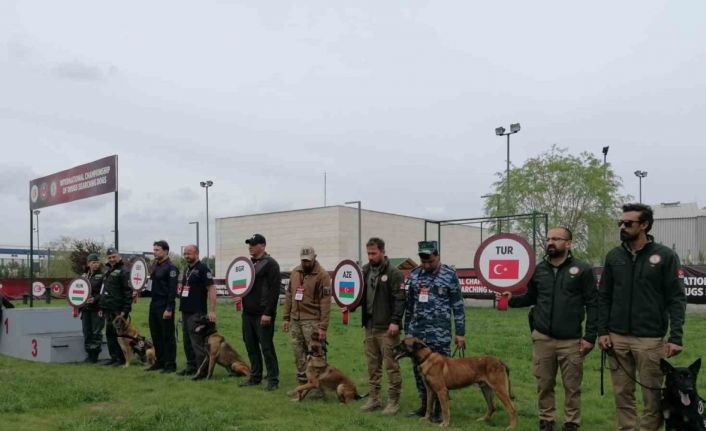 Narkotik Dedektör Köpekler Yarışması’nda Türkiye’yi temsil eden ’Nobel’ birinci oldu
