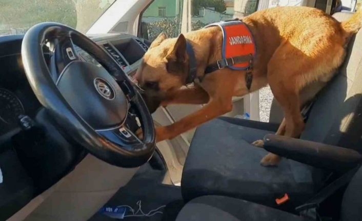 Narkotik köpeği ’Yalman’ vites kutusundaki uyuşturucuyu buldu