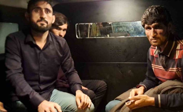 Sakarya’da 4 kaçak göçmen yakalandı