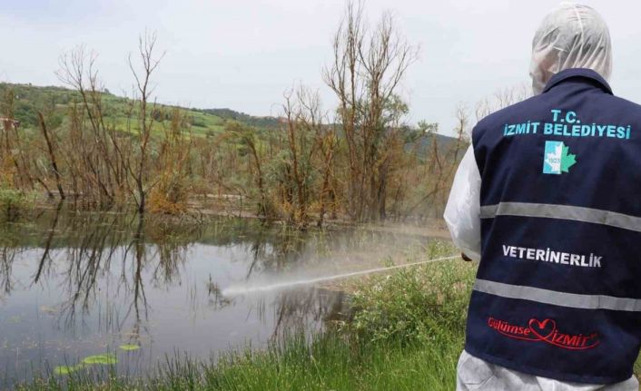 Sıcaklıkların gelmesiyle larva ile mücadele çalışmaları başladı