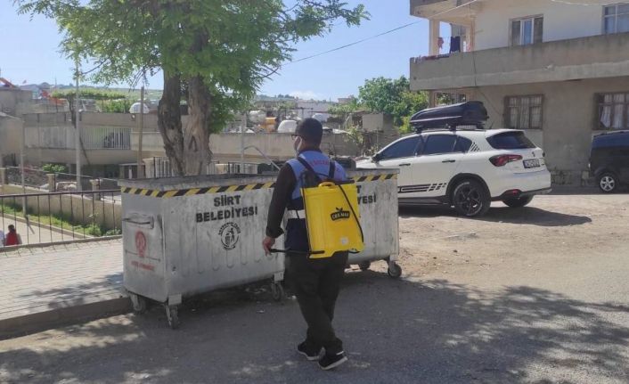 Siirt Belediyesi kent genelinde ilaçlama çalışmalarına başladı