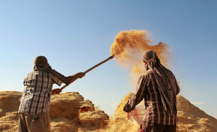 Tarımsal girdi fiyat endeksi yıllık yüzde 49,70 arttı