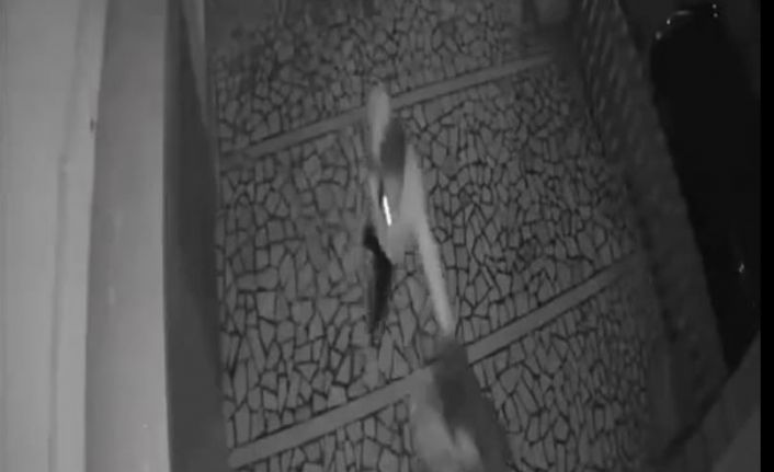 Tartıştığı genç kızı önce tokatladı, sonra saçından tutarak ittirdi