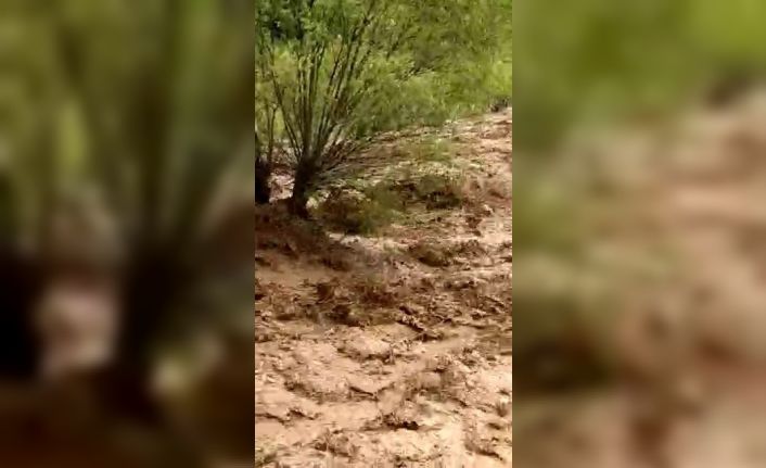 Tunceli’de dereler taştı