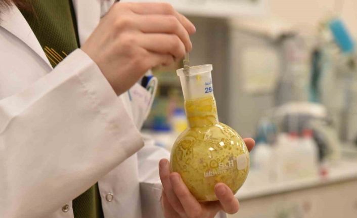 Üniversite laboratuvarlarında geliştirildi: Borlu gıda takviyeleri ile kemik erimesi önlenecek