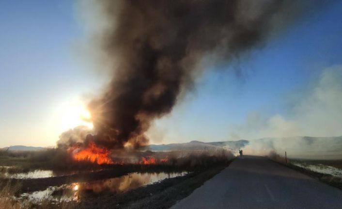 Van Gölü Havzası’ndaki sulak alanlar tehlikede