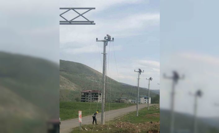 VEDAŞ’tan yeni yatırımlar