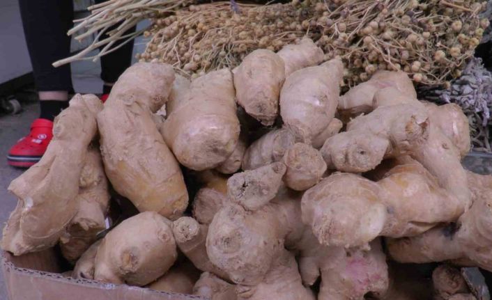 Yaz nezlesine zencefil