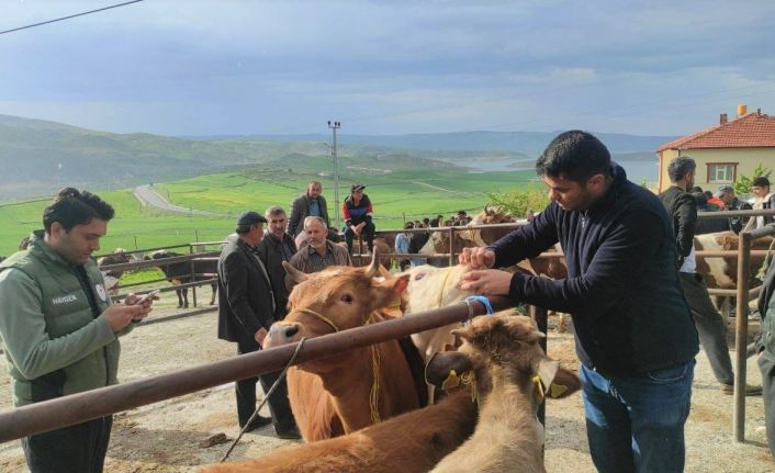 Yozgat’ta canlı hayvan pazarlarında şap hastalığına karşı sıkı tedbirler sürüyor