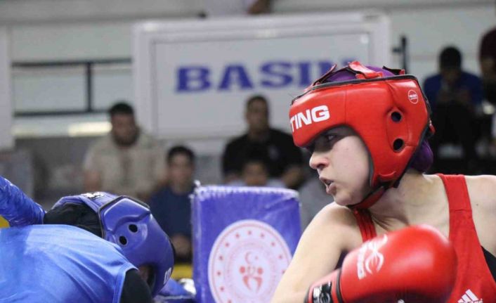 67 ilden 848 sporcu, Türkiye Ferdi Boks Şampiyonası’nda mücadele ediyor