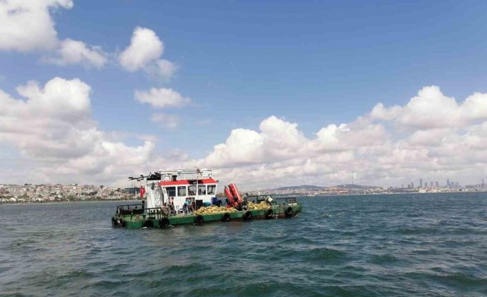 70 ton kaçak midye ele geçirildi, 1 milyon lira para cezası kesildi