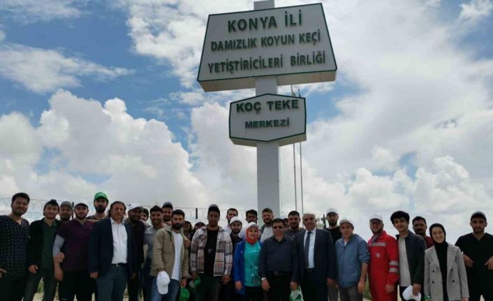 Akademisyenler ve öğrenciler Karapınar Koç Teke Üretim Merkezini gezdi