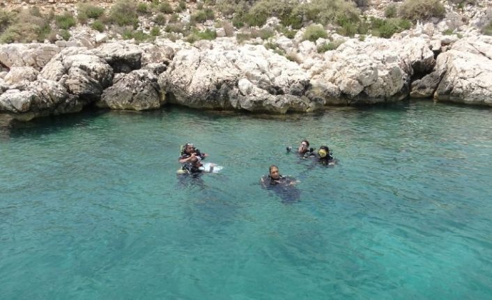 Akdeniz Boğsak Adası çevresinde zengin biyoçeşitliliği gözlendi