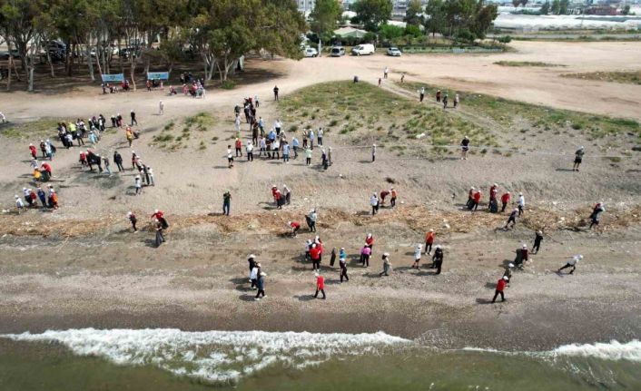 Akdeniz’de caretta carettaların yuvalandığı alanlar temizlendi