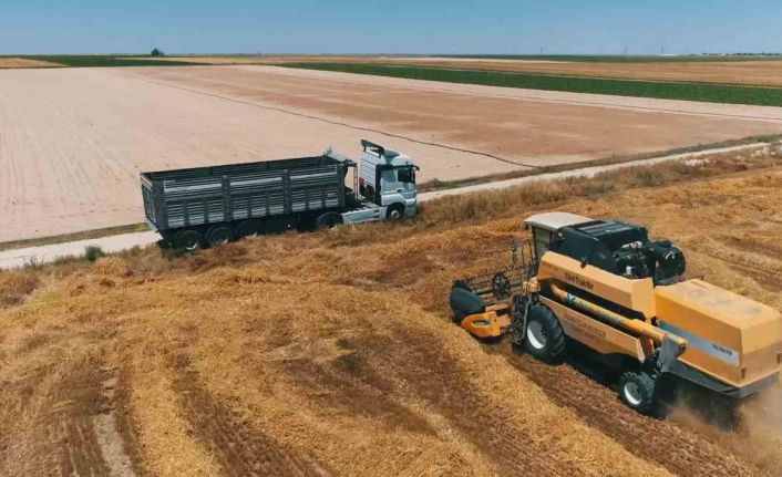 Aksaray’da yağışlar ürün rekoltesini 2 katına çıkardı