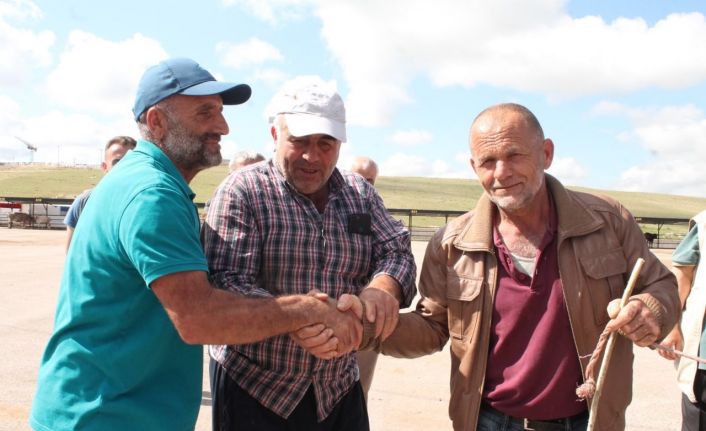 Alıcılar ve satıcılar kurban fiyatında anlaşamayınca sesler yükseldi, devreye aracılar girdi