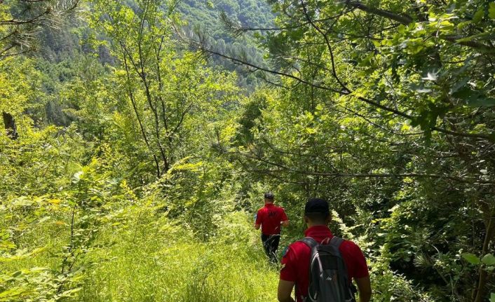 Amasya’dan geldiği Kastamonu’da kayıplara karışan bekçi her yerde aranıyor