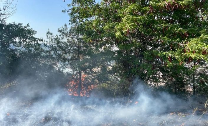 Anız yangını ormana sıçradı, 3 dönüm makilik alan zarar gördü