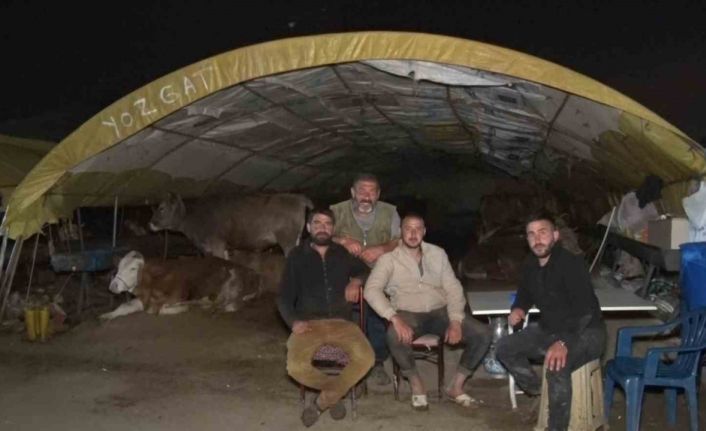 Ankara’da kurban pazarlarında gece zor geçiyor