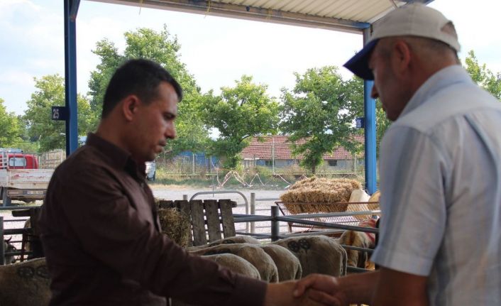 Bandırma ve Gönen’de kurban pazarı kuruldu