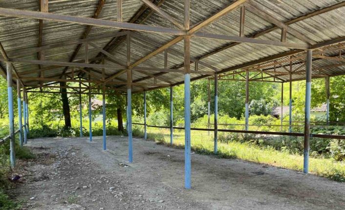 Bartın’ın Buğurlar köyünde şap hastalığı şüphesi