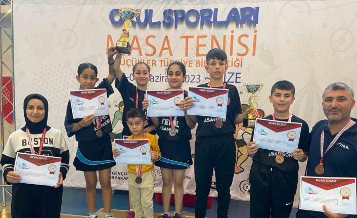 Batman, masa tenisi Türkiye finallerinde derece elde etti