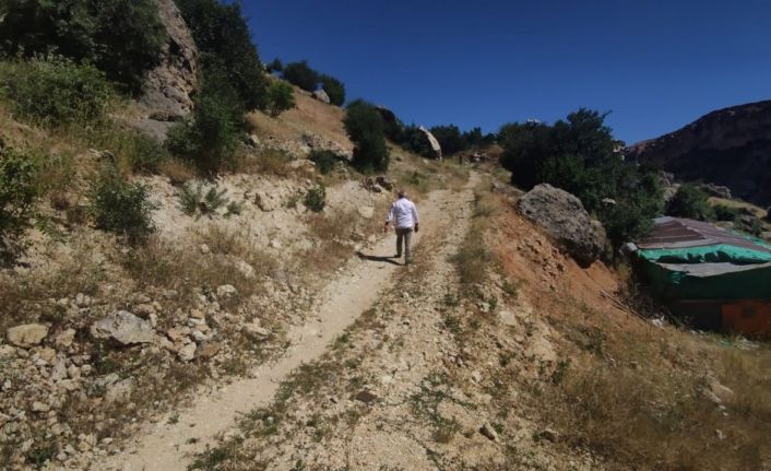 Bayram sabahı kaçan kurbanını bulmak için 3 gündür arazi arazi geziyor