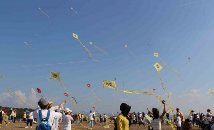 Bergama’nın UNESCO yıldönümü, uçurtmalarla kutlandı