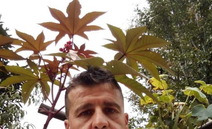 Bisikletle işe giderken hayatını kaybetti