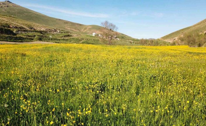 Bu manzarayı görebilmek için 10 gün kaldı