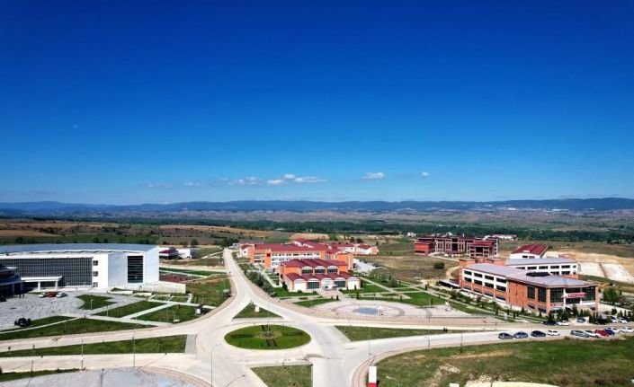 Bu proje ile ahşap bisküvi plastiğe alternatif olacak