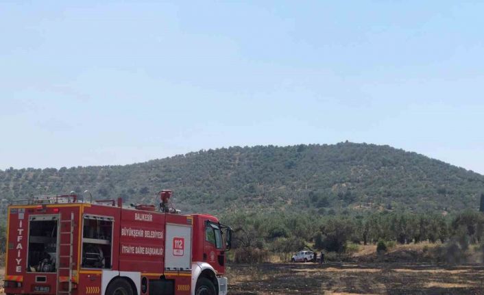 Burhaniye’de otluk alanda yangın