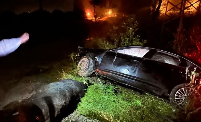 Büyükbaş hayvana çarpıp, şarampole giren araçta AK Parti milletvekili ve oğlu yaralandı