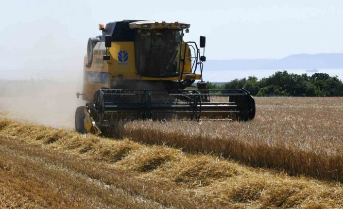 Çanakkale’de arpa hasadı başladı