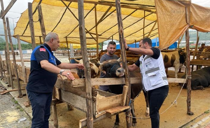 Canik Hayvan Pazarı açıldı: Küpesiz ve pasaportsuz kurbanlıklar alınmıyor