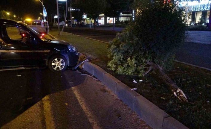 Çarptığı ağacı yerinden söküp karşı şeride geçti: 1 yaralı