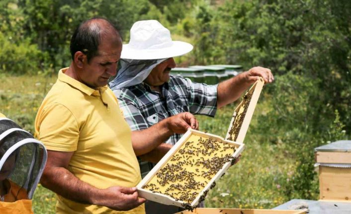 Çayırlı’da arıcılık geliştiriliyor