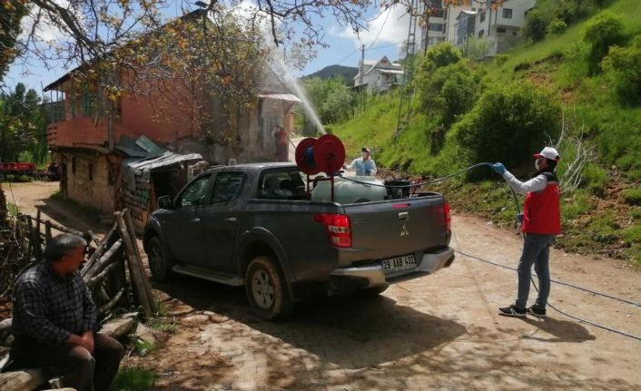 Çekirgelerin istila ettiği köyde ilaçlama çalışmaları başlatıldı
