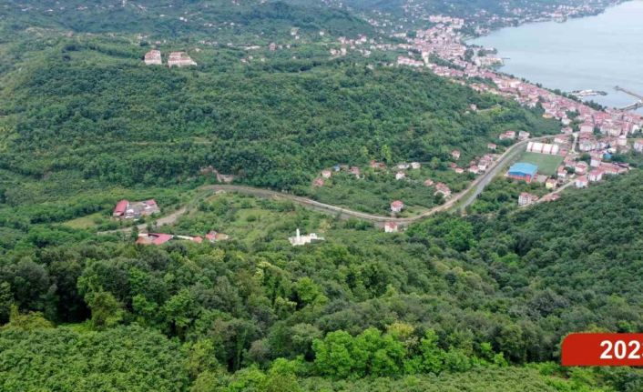 Çöp dağından yeşil ormana