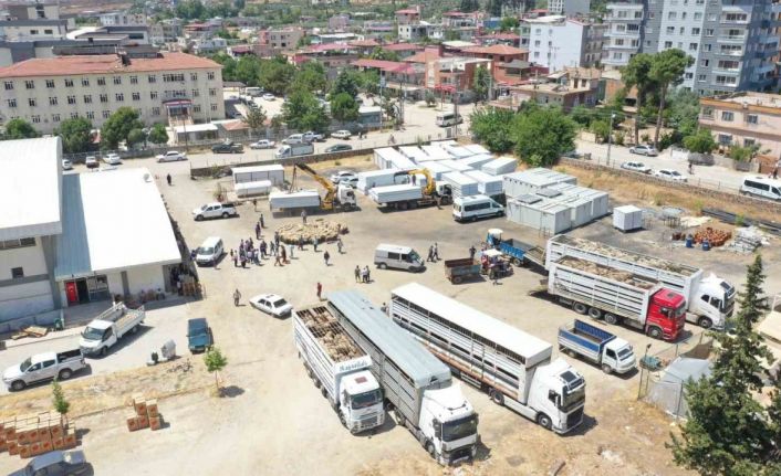 Depremde hayvanları telef olan üreticilere Tarım ve Orman Bakanlığından destek