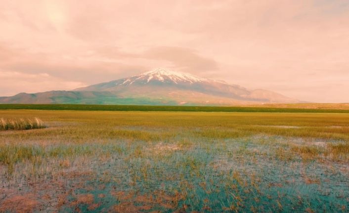 Doğa harikası Sütey Yaylası’nda renk cümbüşü