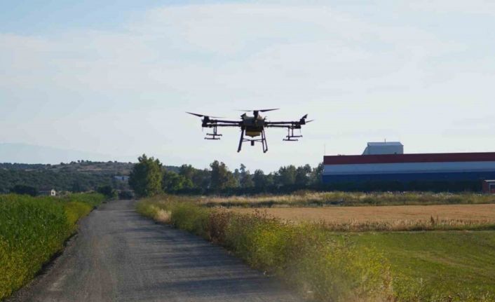 Dron ile sinek öldürüyorlar