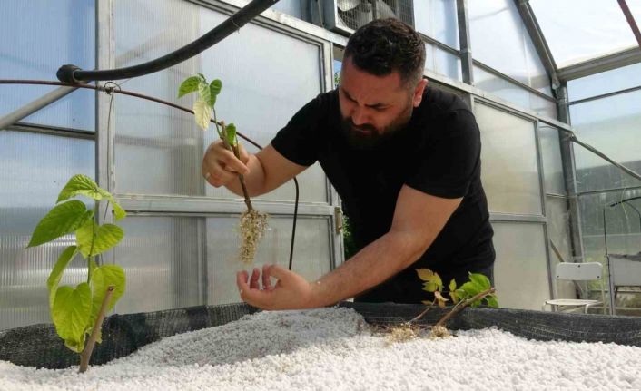 Dünyada ilk kez denendi, çiftçilerden yoğun ilgi gördü