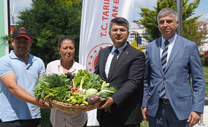 Edirne’de örtü altı tarımla üretilen ürünler İstanbul pazarında alıcı bulacak