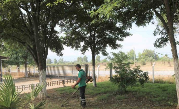 Efeler’de hayvan pazarı bayrama hazır