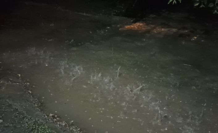 Erciş’te yağmur etkili oldu