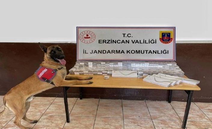 Erzincan’da jandarma ekipleri kaçakçılık olaylarına geçit vermiyor
